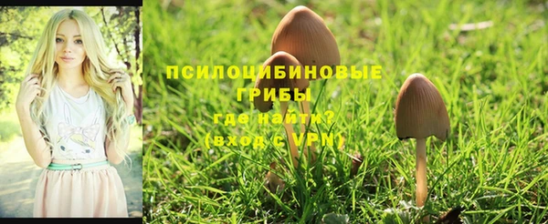 ешки Михайловка