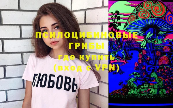 альфа пвп Медвежьегорск