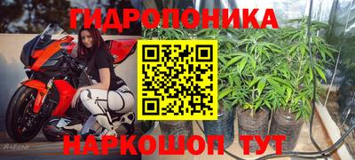 амф Балахна