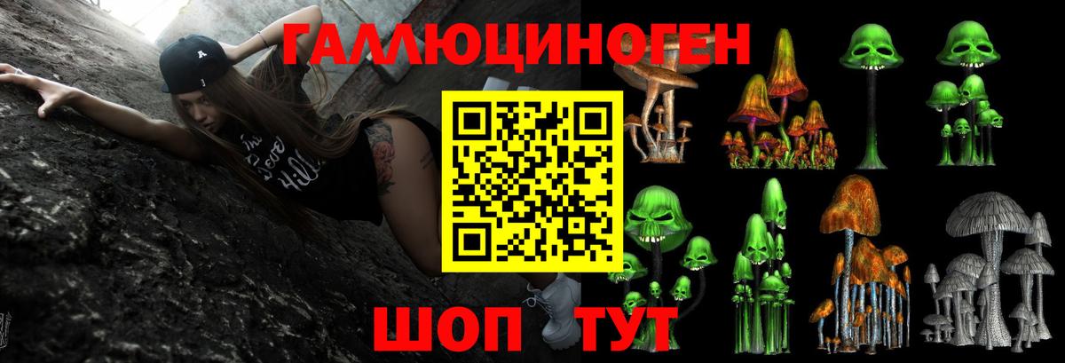 Галлюциногенные грибы Cubensis Северодвинск