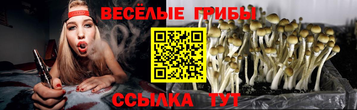 Галлюциногенные грибы прущие грибы  Вход с VPN  магазин  наркотиков  Северодвинск 